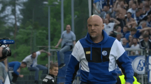 Giphy - Football Yes GIF by FC Schalke 04