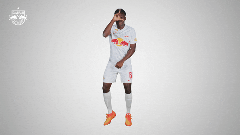 Giphy - Football Sport GIF by FC Red Bull Salzburg