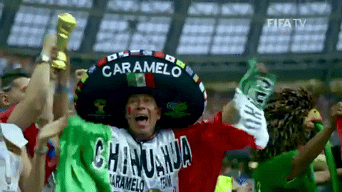 Giphy - Happy Cinco De Mayo GIF by FIFA