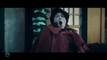 Snl GIF by Saturday Night Live