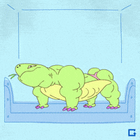 tech tortoise GIF by gifnews