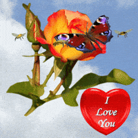 I Love You GIF