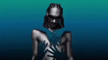 Snoop Dogg GIF by reactionseditor