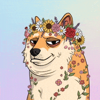Shiba Inu Smiling GIF by Doge Pound