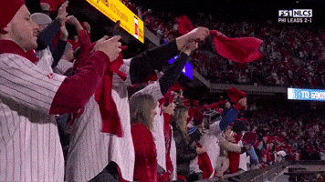 Baseball Fans GIF by MLB