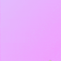 🎁 Bonus Fofocoins : La réponse surprise