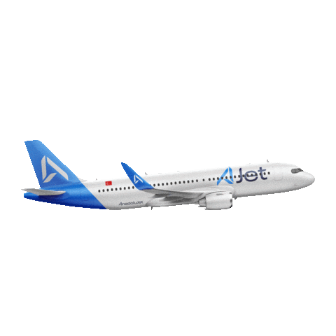 a white and blue airplane