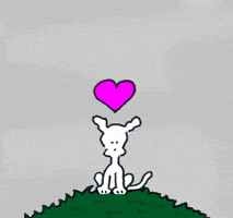 dogs love GIF by Chippy the Dog