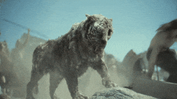 Valentine Roar GIF by NETFLIX