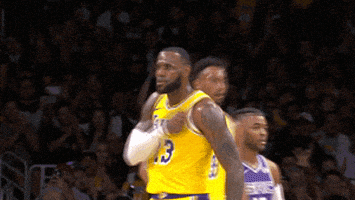 lebron james yes GIF by NBA
