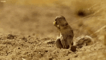 GIF by Digg