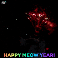 New Year Gatos GIF by Felini Rocks