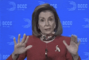 Be Patient Nancy Pelosi GIF by Election 2020