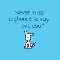 I Love You Dogs GIF by Chippy the Dog