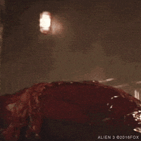alien sigourney weaver GIF by foxhorror