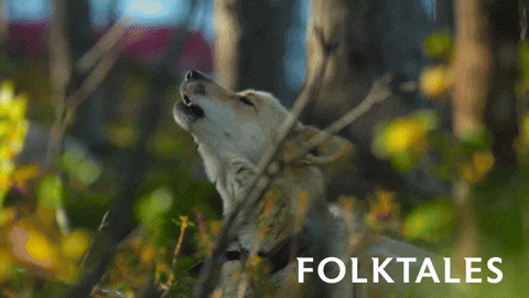 Wolf Howling Dog GIF by Magnolia Pictures