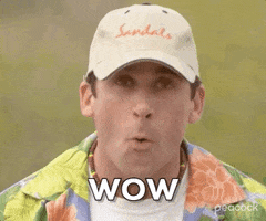Season 3 Wow GIF by The Office