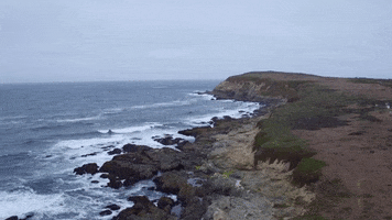 200.gif