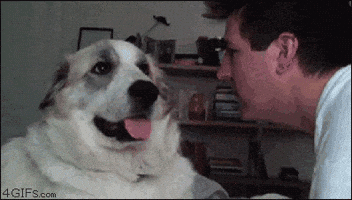 slap gtfo GIF slap gtfo GIF