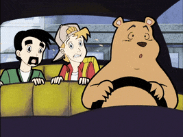 bear driving GIF bear driving GIF