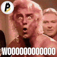 Rick Flair Crypto GIF by BitPal Rick Flair Crypto GIF by BitPal
