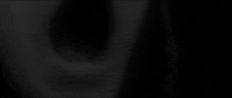 Scared Memento Mori GIF