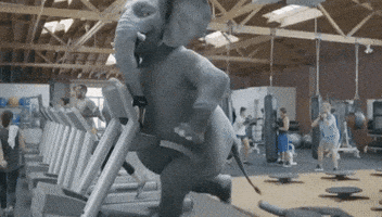 Super Bowl 51 Elephant GIF