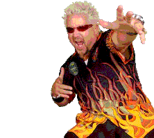 guy fieri art GIF