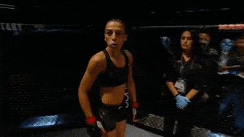 ufc 205 GIF