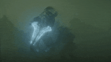 Season 2 Fight GIF by Paramount+