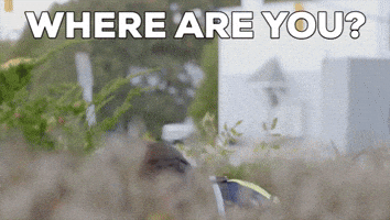 Where Are You Hello GIF by StittsvilleOnPatrol Where Are You Hello GIF by StittsvilleOnPatrol