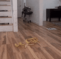 Falling Over GIF Falling Over GIF