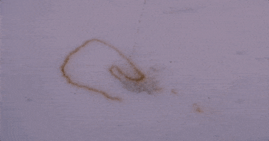 Heart Film GIF