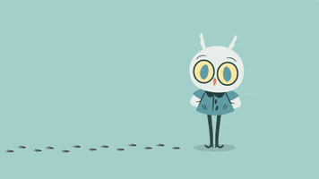 animation owl GIF animation owl GIF