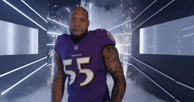 Dance Reaction GIF by Baltimore Ravens Dance Reaction GIF by Baltimore Ravens