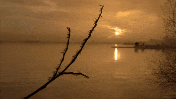 ice sunset GIF by Living Stills