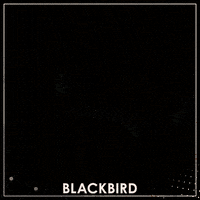 James Bond Film GIF by Wildcard Distribution