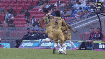 Australian Football GIF by Hyundai A-League