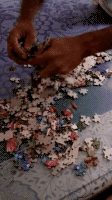 puzzle GIF