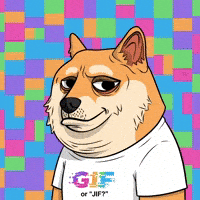 Shiba Inu Dog GIF by Doge Pound