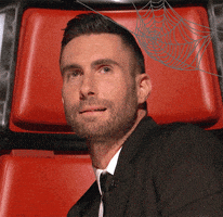 adam levine television GIF by The Voice