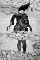 water GIF by joelremygif