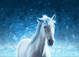 hold up what GIF by Ice Breakers