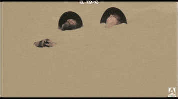 Tired Wake Up GIF by Arrow Video