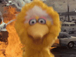 Sesame Street Omg GIF by Bell Brothers