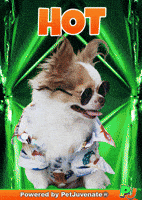 Awesome Fire GIF by PetJuvenate - PJ