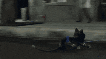 walt disney animation studios lol GIF by Disney