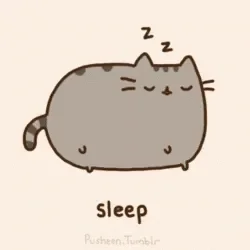 Sleepy Cat GIF