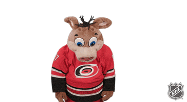 Ice Hockey GIF by NHL