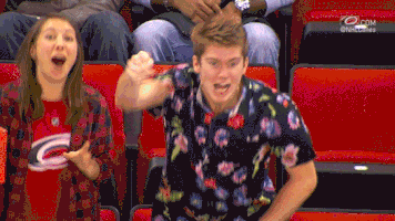 hockey celebrating GIF by Carolina Hurricanes
